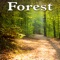 Relaxing Tranquil Day In the Forest - Nature Sounds lyrics