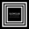 Wanderer Wandering - Single album lyrics, reviews, download
