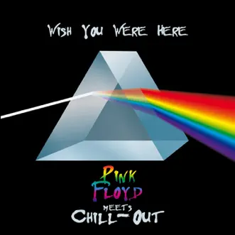 Shine On You Crazy Diamond by The Chill-Out Orchestra song reviws