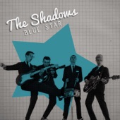 The Shadows - Sleepwalk