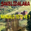 Nandalo teto ve