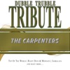 A Tribute To - The Carpenters