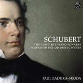 Schubert: The Complete Piano Sonatas Played on Period Instruments artwork