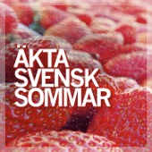 Äkta Svensk Sommar artwork