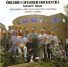Orebro Chamber Orchestra & Goran W Nilson - Serenade, Op. 15: I. Allegro maestoso