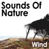 Stream & download Sounds of Nature: Wind