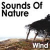 Sounds of Nature: Wind