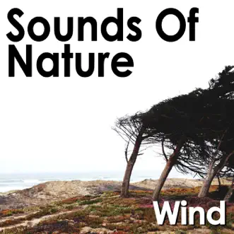 Wind On the Sand Dunes by Pro Sound Effects Library song reviws