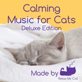 Cat Music to Calm Anxiety artwork