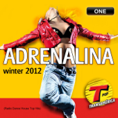 Adrenalina Winter 2012 Transamérica FM - One (Radio Dance House Top Hits) - Various Artists