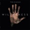 Wilderness (SoulPhiction Re-Rub) - Trickski lyrics