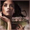 Ambient Chill Emotions, Vol. 2, 2012