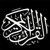 القران الكريم - جزء 11 artwork