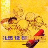 Les 12 Salopards, vol. 8 artwork
