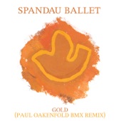 Gold (Paul Oakenfold BMX Remix) artwork