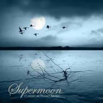 Supermoon by Moonlight Dreaming song reviws