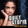 Quiet Storm - Soulful Slow Jams, 2012