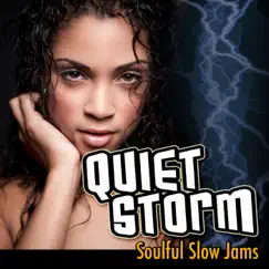 Quiet Storm - Soulful Slow Jams (Rerecorded Version) by Various Artists album reviews, ratings, credits