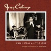 Jerry Costanzo - Can I Steal a Little Love