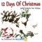 12 Days of Christmas (Instrumental) artwork