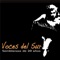 Det Koster Ingenting - Voces Del Sur lyrics