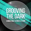 Grooving the Dark - Single album lyrics, reviews, download