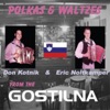 Polkas & Waltzes From the Gostilna