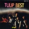 心の旅 (TULIP BEST) ジャケット写真