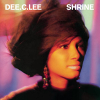 Dee C. Lee - See the Day artwork