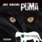 Puma - Javi Rodenas lyrics