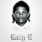 Eazy-E - Luv 4 Dem Gangsta'z