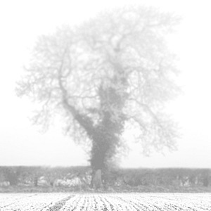 Ebb -The poetry, philosophy and fiction of Luke Andreski cover