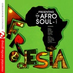 The Afro Soul-Tet - Afrodesia