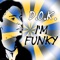 I'm Funky (Cosmogroove Remix) - D.O.K. lyrics