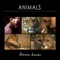 Animals artwork