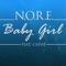 Babygirl - N.O.R.E. lyrics