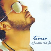 Esma We Naseeb artwork