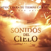 Sonidos del Cielo, Vol. 1 artwork