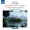 Serenade No. 4 in G minor, Op. 51: II. Allegretto grazioso artwork