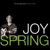 Joy Spring (LP Version)  - Larry Coryell 