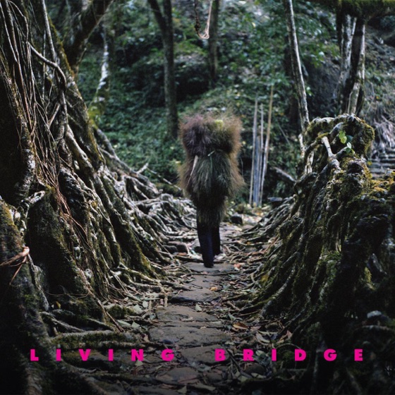 Cover artwork for Ashish