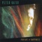 Pursuit of Happiness - Peter Kater lyrics