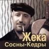 Сосны-кедры