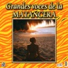 Grandes Voces De La Matancera, Vol. 1
