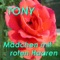 Schöne Maid - Tony lyrics
