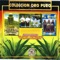 In Kuachi Ndo`oyu - Grupo Mixteco lyrics