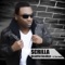 Beautiful Goodbye (feat. Tina Crowe) [Album Mix] - Scrilla lyrics