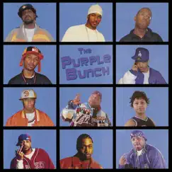 Diplomats Present: The Purple Bunch by Various Artists album reviews, ratings, credits