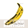 The Velvet Underground & Nico 45th Anniversary (Deluxe Edition) artwork