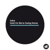 Sake - Hold On We're Going Home
